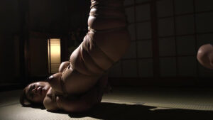 【巨乳 中出し】【SM】調教され悦ぶ巨乳美人妻 森下美緒 飼育緊縛中出し編│JUKUJO99│h_1489j99654b